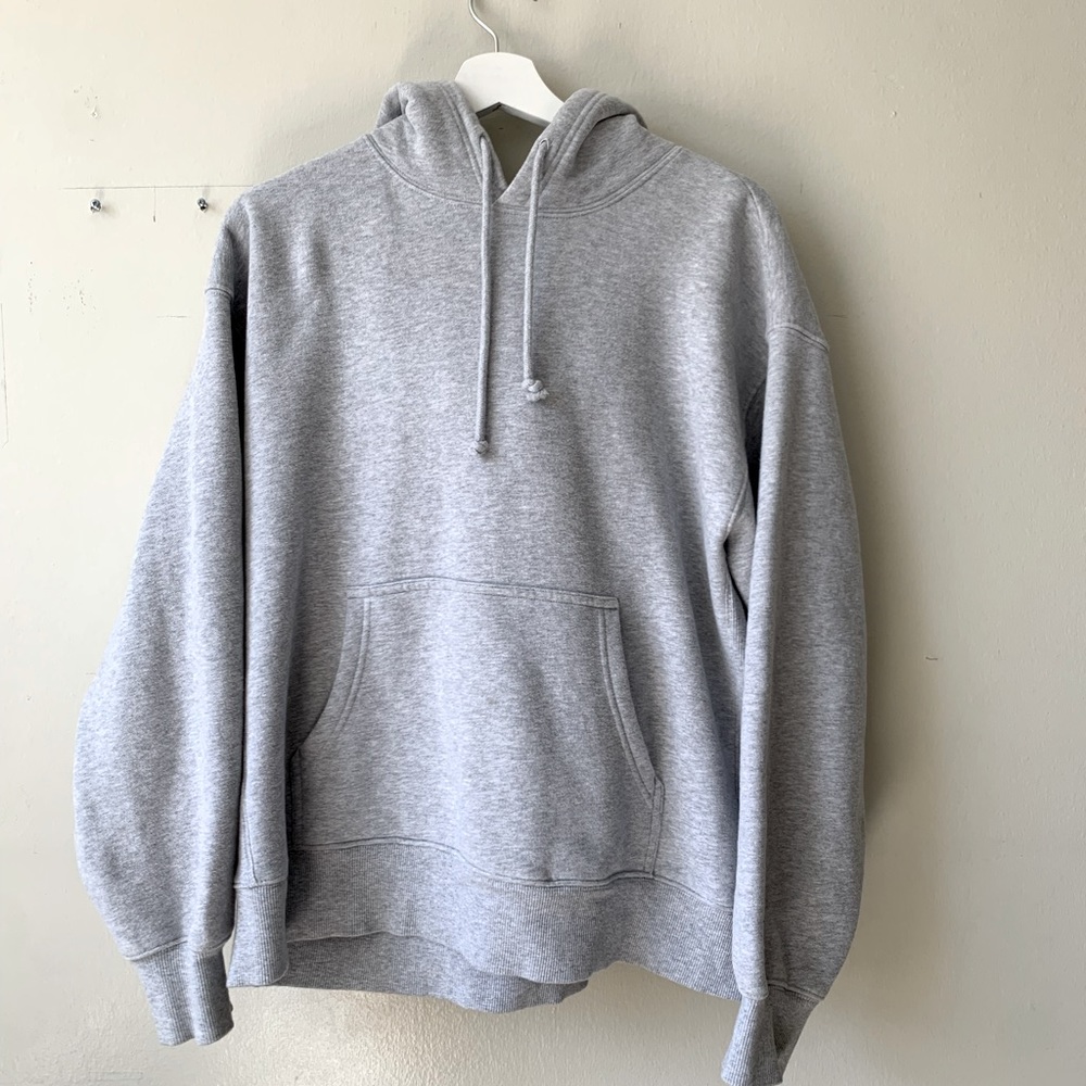 Tna Aritzia Cosyaf hoodie